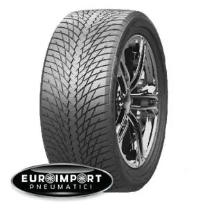 Greentrac Wintermaster d1 225/45 R18 95 V XL  TL